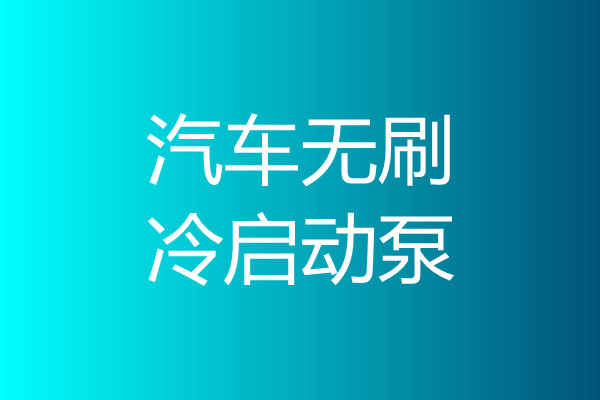 汽車(chē)無(wú)刷冷啟動(dòng)泵
